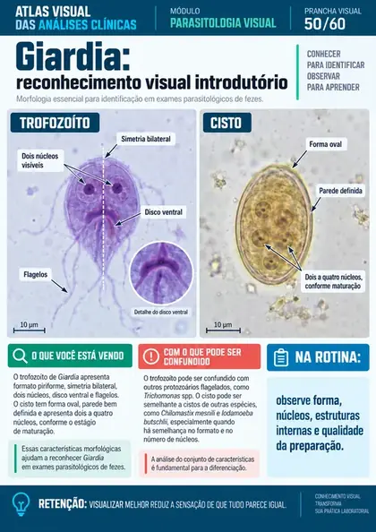 Prancha visual sobre Giardia